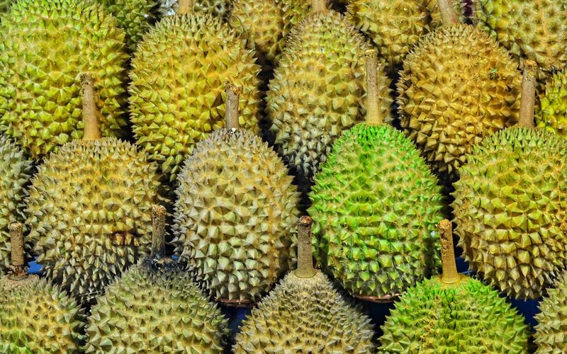 Durian Varieties