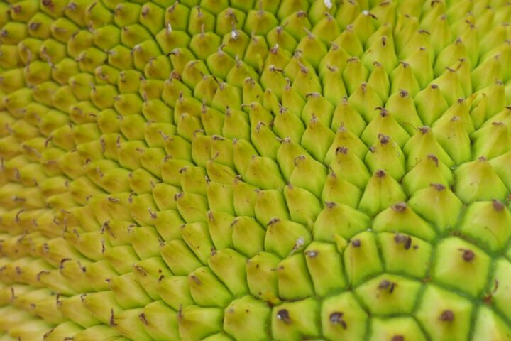 Durian and Constipation: What to Know