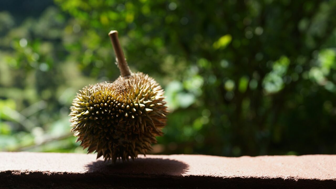 Durian and Intermittent Fasting