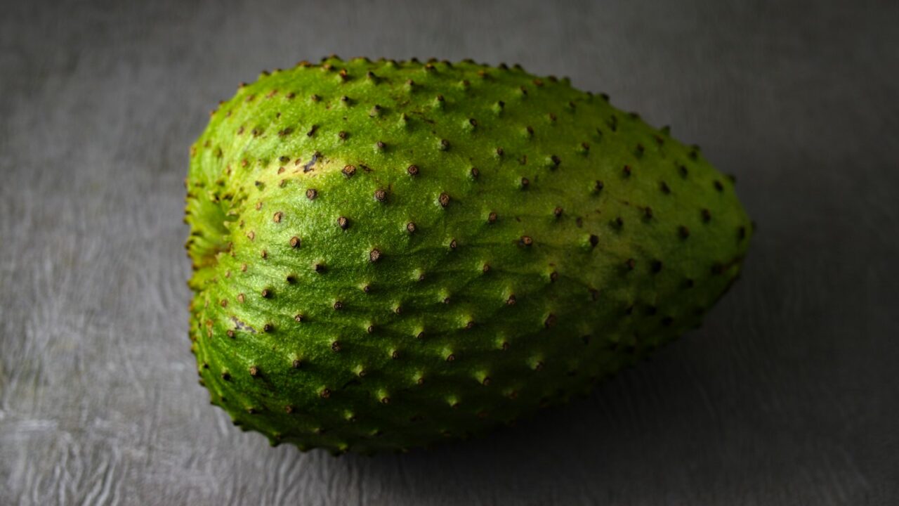 Durian Belanda: Why Soursop Has a Durian Name