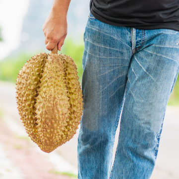 5 Fun Facts about Moving the Durian