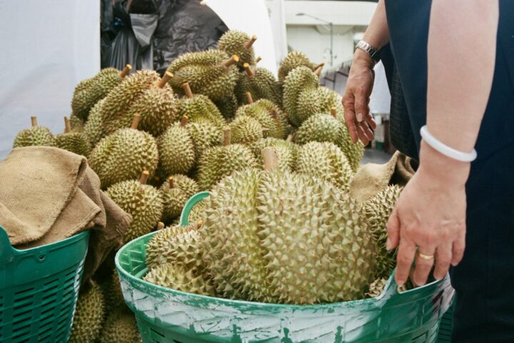 Durian Season Recap & What's Next
