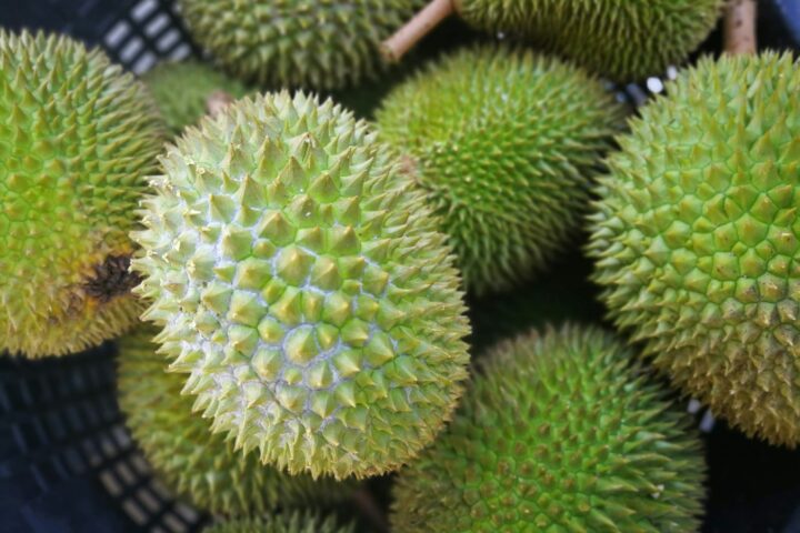 Durian Sticky Rice (Thai-Style) Recipe