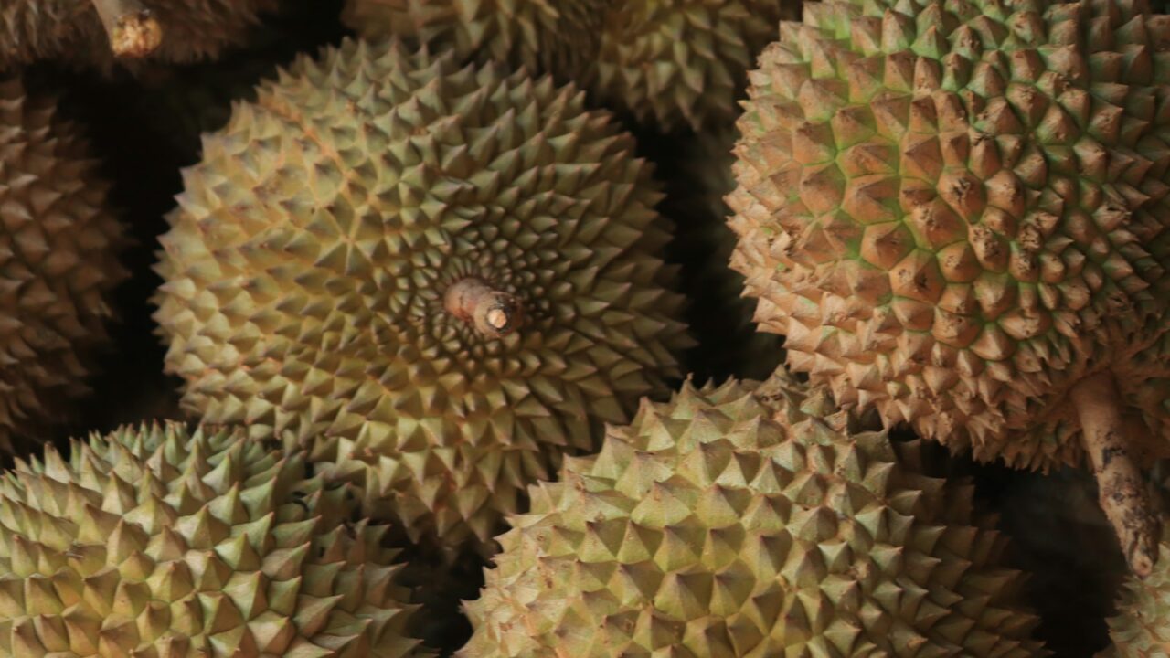 Durian Wine: What to Know