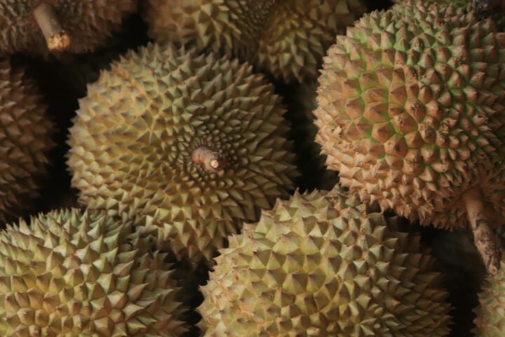 Durian Wine: What to Know