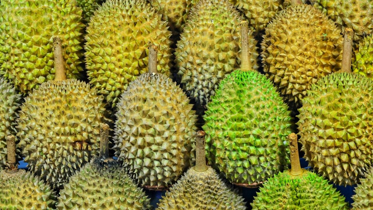 Is There a Durian Emoji?