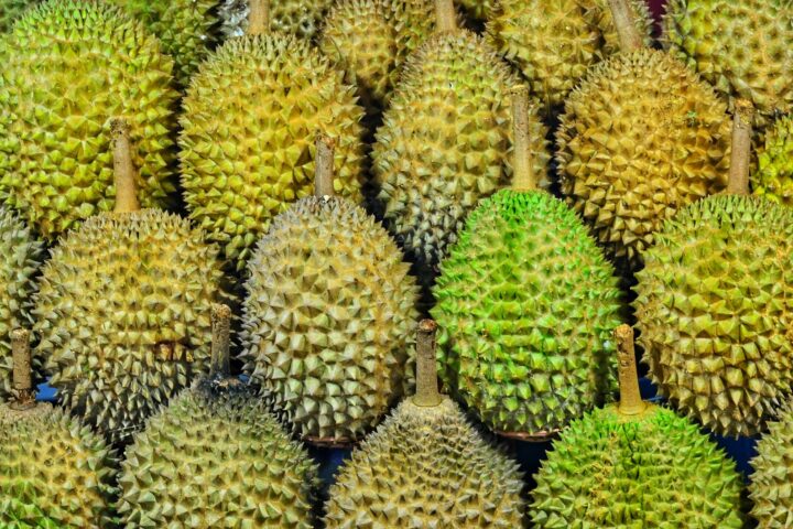 Is There a Durian Emoji?