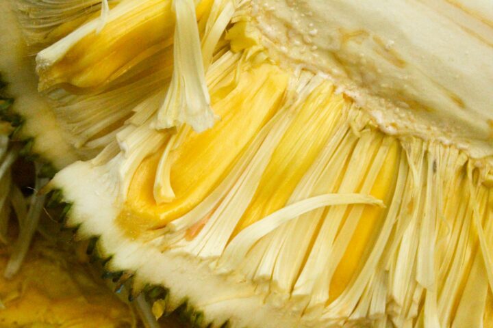 Why Is My Durian Hard? (Unripe Durian)